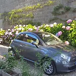 A Piazza Del Gesu Viterbo