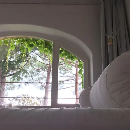 Bed & Breakfast A Piazza Del Gesu
