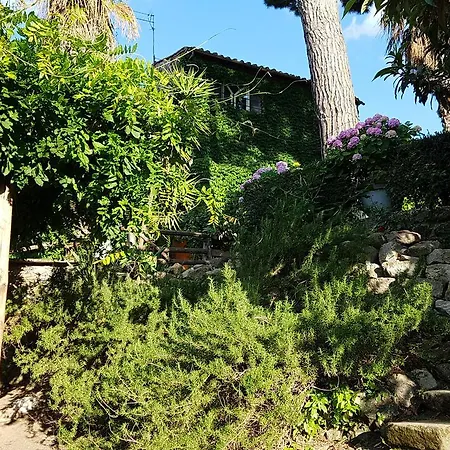 Oda ve Kahvaltı A Piazza Del Gesu 3*