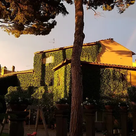 A Piazza Del Gesu 비테르보