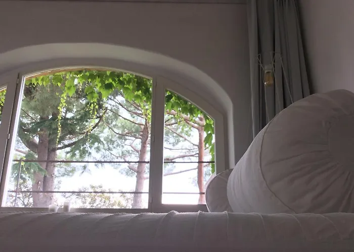 Bed and Breakfast A Piazza Del Gesu